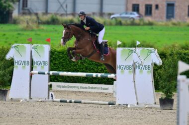 Pieter Van den Bossche wint goud en brons op de HGVBB jonge paarden kampioenschappen