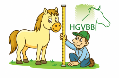 Start van het HGVBB seizoen